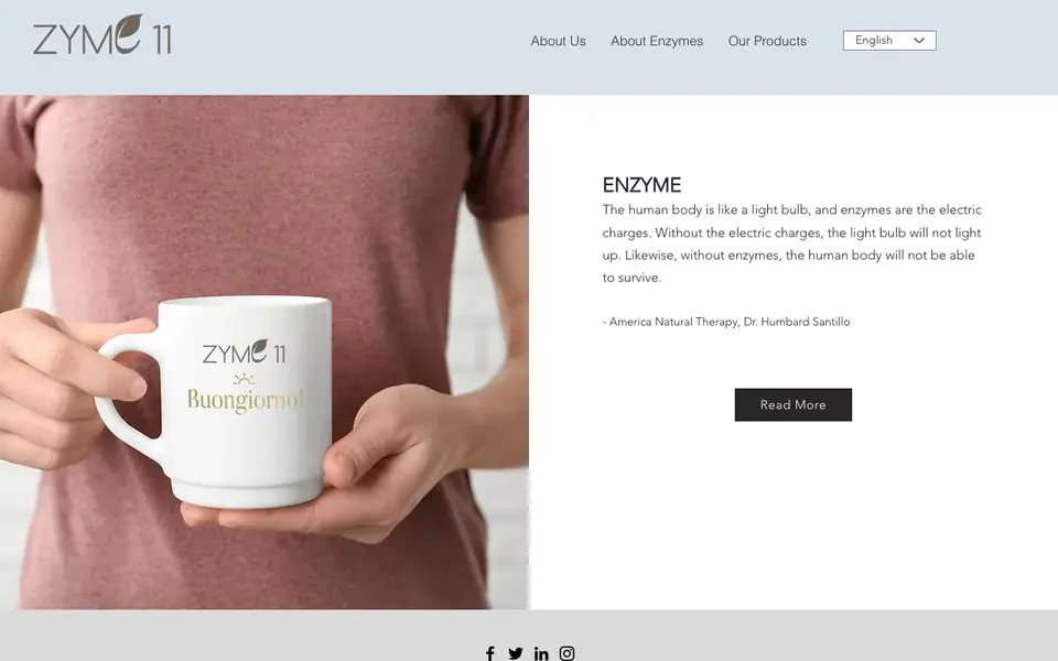 Zyme11 Enzyme website homepage, 4 Oct 2026