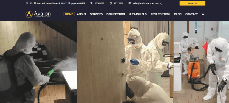 Avalon Services