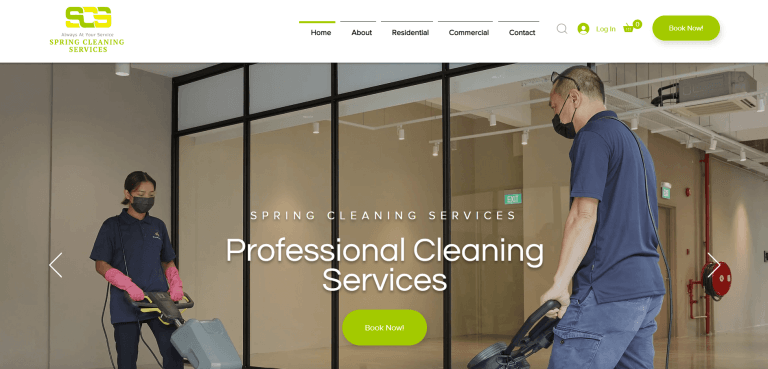 Spring Cleaning Services