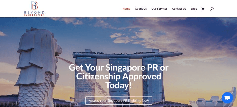 Beyond Immigration Pte. Ltd.
